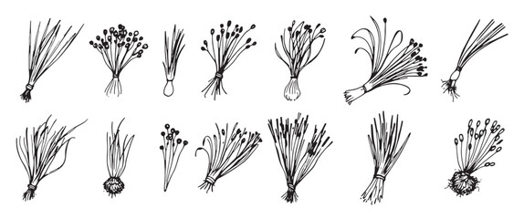 set of hand drawn flowers and plants