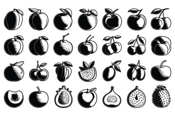 High-resolution artistic fruit line art elements for menu design, cafe branding, and posters