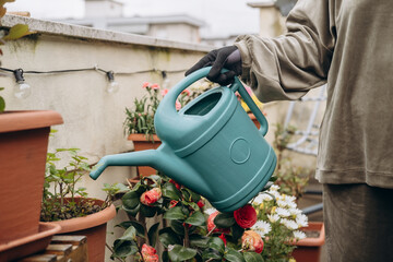 Individual wearing gloves is holding a teal watering can while tending to vibrant flowers in pots on a balcony garden, showcasing the joy of gardening and nurturing plants