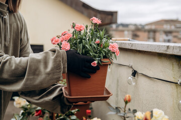 Person holding a terracotta pot filled with vibrant pink flowers, standing on a balcony surrounded by greenery, showcasing a serene gardening moment in a cozy outdoor space