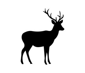 Obraz premium Majestic Silhouette of a Male Deer with Antlers Standing Gracefully in a Natural Setting 