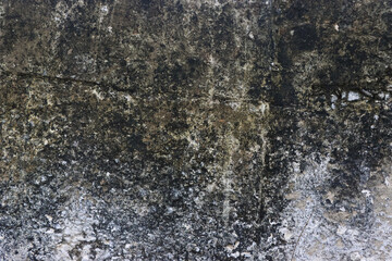 Weathered concrete wall with mold and discoloration.