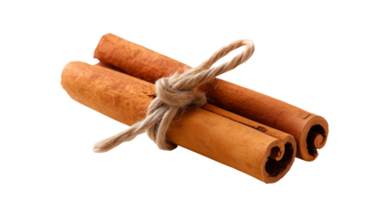 Organic Ceylon cinnamon bark rolls bound with twine for culinary and wellness themes