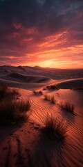 Naklejka premium A dramatic sunset paints the desert landscape in fiery hues, highlighting the textures of the sand dunes and sparse vegetation