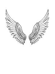 Minimilist detailed line art of two symmetrical wings with intricate feather patterns on a white background design art vector