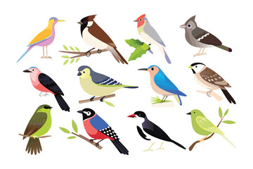 Diverse Avian Mosaic: A collection of meticulously illustrated birds, showcasing a kaleidoscope of vibrant plumage and unique postures.