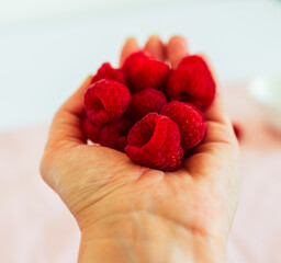 Close-up of a hand holding ripe red raspberries. Natural organic berries with soft focus...