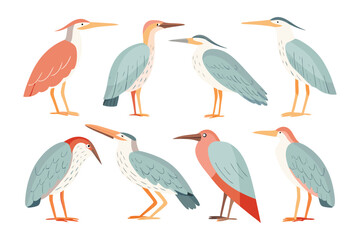 Stylish Heron Collection: A digitally illustrated collection of diverse herons, each gracefully posed, perfect for artistic and educational projects, capturing unique feather patterns and forms.