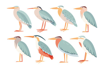 Watercolor Heron: A colorful series of watercolor heron, beautifully illustrated, standing tall. The artwork style emphasizes clean lines and a harmonious palette.