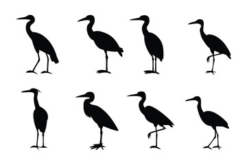 Elegant Silhouette of Heron: A collection of detailed heron silhouettes showcasing the grace and poise of these elegant birds. Perfect for design and wildlife concepts.