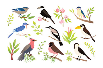 Illustrative Avian Assemblage: A vibrant collection of bird illustrations showcases a variety of species perched amidst lush foliage, each portraying unique characteristics.