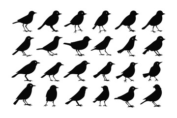 Silhouette Birds: A collection of elegant black bird silhouettes, captured in a visually striking array, highlighting form and shape. 