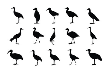Obraz premium Avian Silhouette Collection: A collection of diverse avian silhouettes, each meticulously captured against a monochrome backdrop. Depicting a variety of poses.