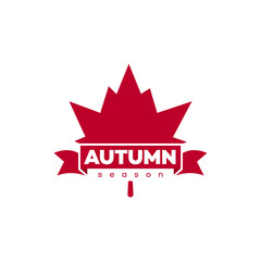 Autumn Season Graphic Design  Red Maple Leaf Vector Illustration
