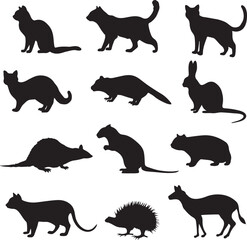 Diverse Animal Silhouettes A Compendium of Wildlife Forms Captured in Striking Black Figures Depicting Mammals Small and Large