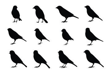 Silhouette of Diverse Birds: A collection of avian silhouettes, representing various species, stand poised against a clean backdrop.