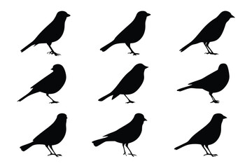 Bird Silhouette Collection: A collection of nine meticulously crafted bird silhouettes, presented in a sleek, monochromatic design, perfect for illustrating concepts of nature, fauna.