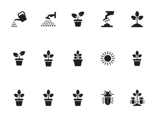 Top View Indoor Plants Icons – Vol.7 | Decorative Plant Silhouette
