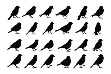 Bird Silhouette Array: A collection of bird silhouettes arranged in a grid formation. Each silhouette captures the unique form and profile of the bird, against an elegant, clean background.