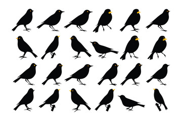 Blackbird Silhouette: A collection of sleek blackbird silhouettes in various poses, highlighting the graceful forms of the avian creatures.