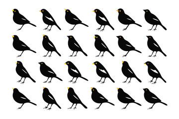 Blackbird Flock: A multitude of blackbirds, each perched with a keen eye and distinctive features, forming a striking graphic that underscores the elegance of avian life.