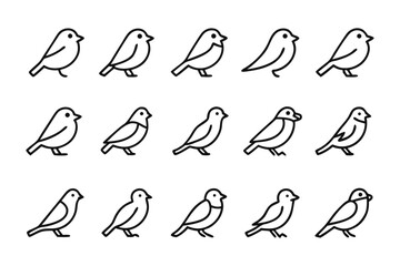 Charming Bird Collection: A collection of various bird illustrations in black outline form, capturing their adorable charm. 