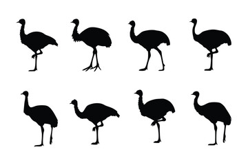 Emu Silhouette Pattern: A sophisticated black emu silhouette pattern, perfect for various design projects, featuring the striking shape of these unique creatures in diverse poses.