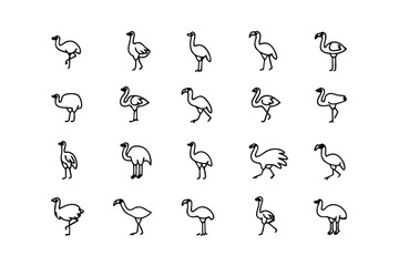 Elegant Ostrich Icons: A series of clean, minimalist line drawings of elegant ostriches in various poses, offering a versatile set of illustrations perfect for any design project.