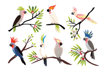 Exotic Parrots in their Natural Habitat: A vibrant display of stunning parrots, perched gracefully on branches, showcasing their unique feathers. A colorful celebration of nature's artistry. 