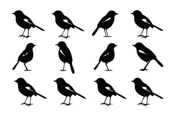 Black Silhouette of a bird: A series of black silhouette of a bird arranged methodically, with detail on each bird's posture