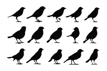 Silhouette Birds: A collection of elegant bird silhouettes, perfect for adding a touch of nature and simplicity to any project.