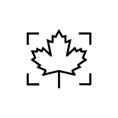 Maple leaf icon within a square frame on symbol nature
