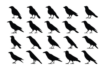 Crow Silhouettes: A collection of diverse crow silhouettes in various poses and angles, capturing the essence of avian elegance.