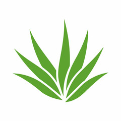 Fototapeta premium Aloe Vera Plant Vector Icon for Herbal and Skincare Design.