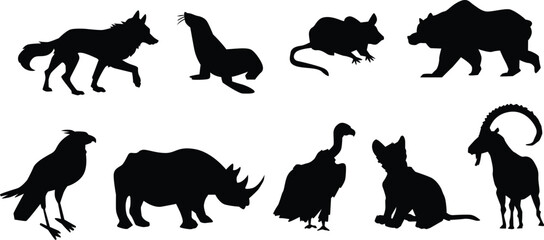 silhouettes of horses