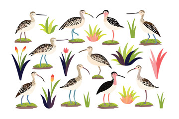 Artistic Curlew Composition: A delightful illustration presents a flock of elegant curlews, accompanied by stylized botanical elements, offering a charming artistic perspective.