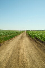 Naklejka premium rural road in the field
