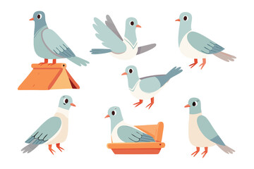 Pigeon Illustrations: A collection of various pigeon illustrations showcasing different poses and activities. 