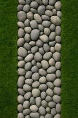 stone path in the garden