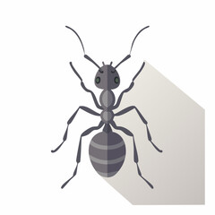 Illustration of a stylized ant with shadow effect, suitable for educational materials
