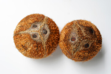 Brown Tropical Coconut Isolated on White