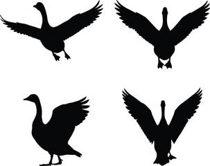  Black Duck Silhouettes vector illustration