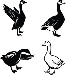 goose vector illustration silhouette isolated background
