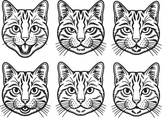 vector illustration of cats