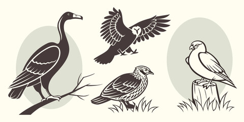 Vector  illustration featuring a goose on a branch, an owl in flight, and two other birds in nature scenes