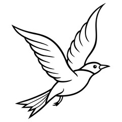 Fototapeta premium A black and white vector illustration of a bird in flight, symbolizing peace and freedom, isolated on white background