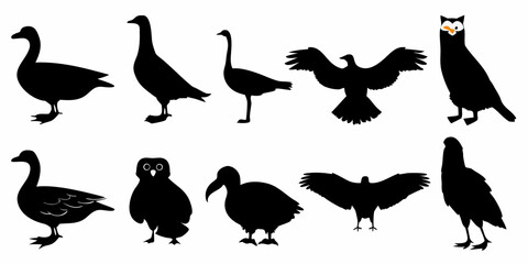 Vector  silhouette collection of various birds including geese owls and birds of prey on a white background