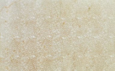 Abstract Beige Textured Background with Delicate White Patterns