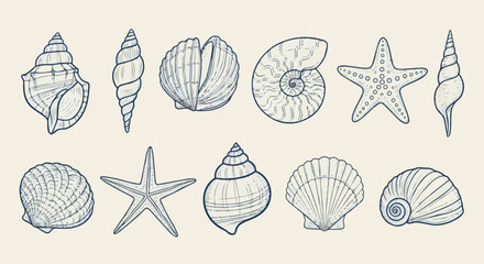 Hand Drawn Sea Shells Vector Set