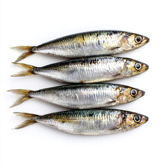 Naklejka premium Four fresh sardines stacked on a white background